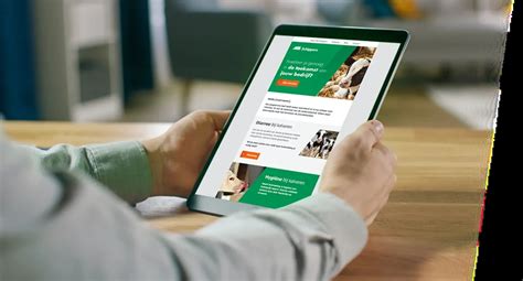 MS Algodón sintético 300 x 10 cm, p/20 - Algodón