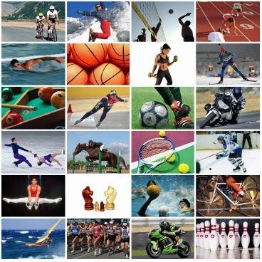 Easy Different Kinds of Sports 的图像结果