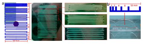 Tuning the Thermogelation and Rheology of Poly(2-Oxazoline)/Poly(2 ...