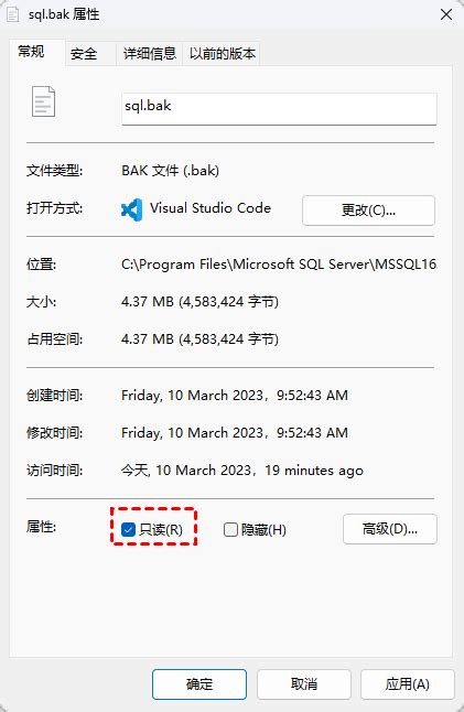 SQL Error Backup File Manipulation Operations Must Be Serialized 的图像结果