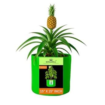 Kingwell grow bags 15x15 inch pack of 1 Grow Bag For Terrace Garden ...