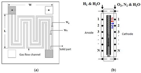 Numerical Modeling and Evaluation of PEM Used for Fuel Cell Vehicles