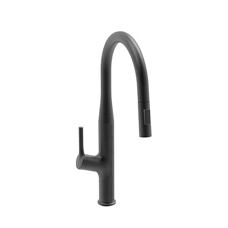 Carysil ALA 1512 Brass Kitchen Faucet with Pull Out spout Sprayer and ...