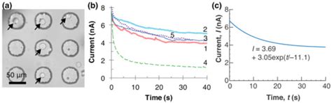 Pick-and-Place Operation of Single Cell Using Optical and Electrical ...