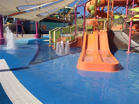 PolySoft is on top of the world