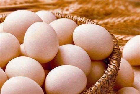 鸡蛋变个用法价格翻几番！小小胚胎蛋年产值达6000万元_养鸡_371种养致富网