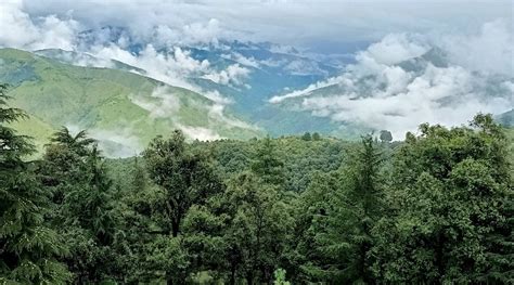 HOTEL SNOW VIEW CHAKRATA (Uttarakhand) - Hotel Reviews, Photos, Rate ...