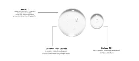 ThriveCo Heat Protector Hair Spray | Heat Protection Up To 480°F