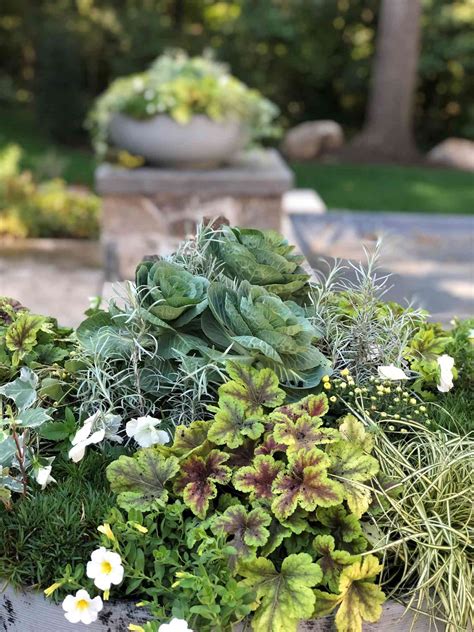 Rezultat imagine pentru Fall Container