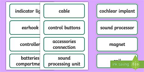 Cochlear Implant Sound Processor Word Cards (teacher made)