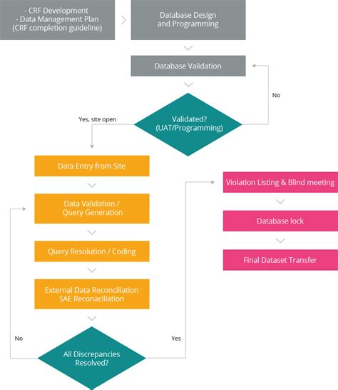 Data Management Development Process 的图像结果