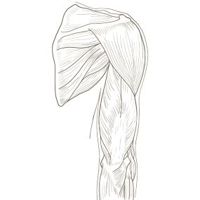 「整形外科」カテゴリのイラスト🎨[2]【フリー素材】｜看護roo![カンゴルー]