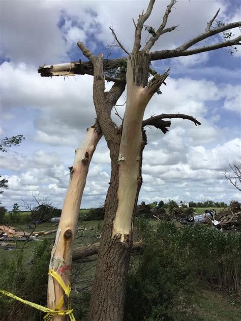 EF1 and EF3 Tornadoes Surveyed from Tuesday, May 16th