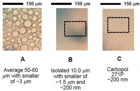 Interfacial Effects and the Nano-Scale Disruption in Adsorbed-Layer of ...