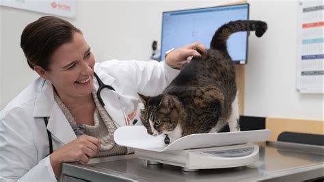 Petcare | Mars India