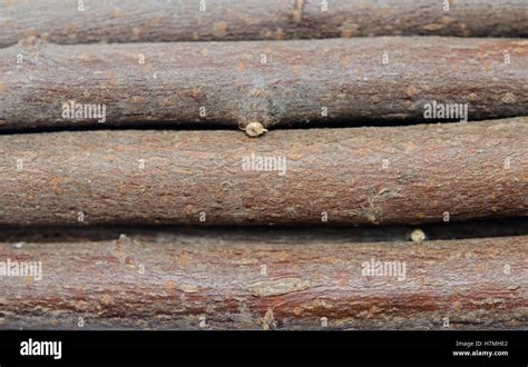 Image result for Logo Background for Log