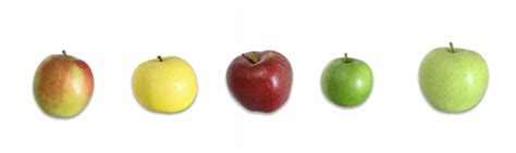 Image result for Comparable Java Example