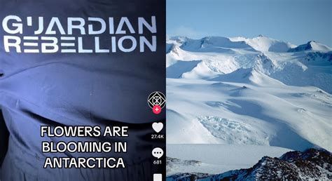 Guardian Rebellion starts TikTok revolution with 'Flowers are blooming ...