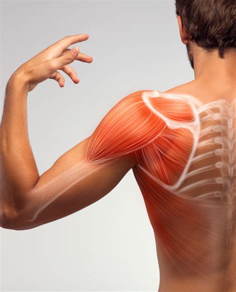 Image result for Shoulder Exercise On Cable Machine