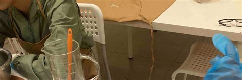 Image result for Visual Basic Soap Tutorial