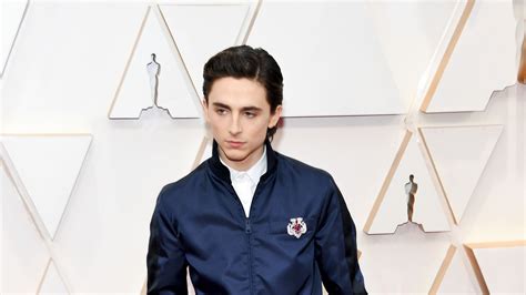 Timothée Chalamet Is Naked In a Bathtub for 'The French Dispatch ...