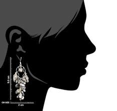 Buy Sterling Silver Earrings at Best Price from Indianshelf