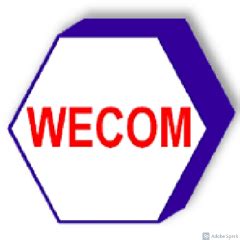 WECOM | Réseau IONOS Agency Partner