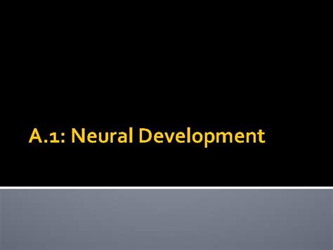 Image result for Neural Development
