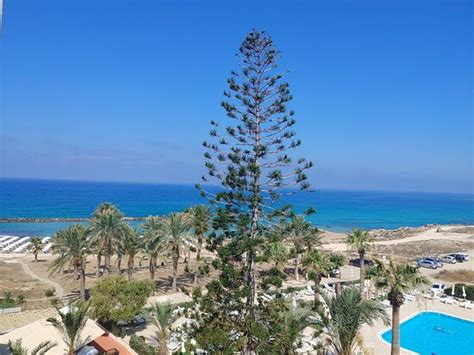 VENUS BEACH HOTEL (Paphos) - Hotel Reviews, Photos, Rate Comparison ...
