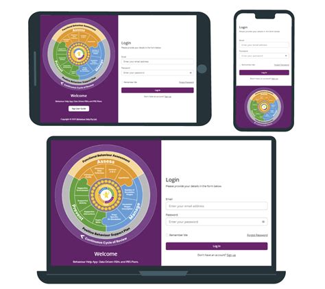 Positive Behaviour Support Example 的图像结果