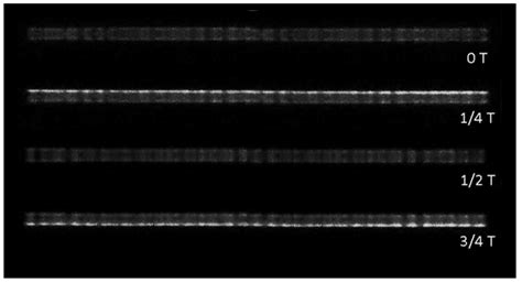 Characteristics of Radio Frequency Dielectric Barrier Discharge Using ...