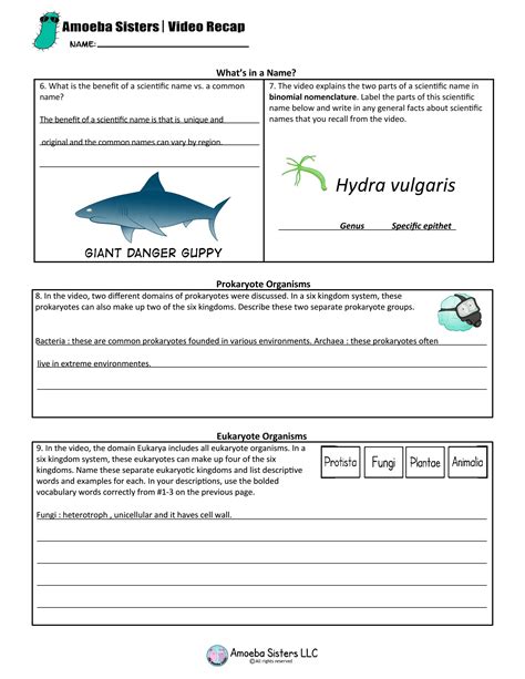 Image result for Classification in Recap