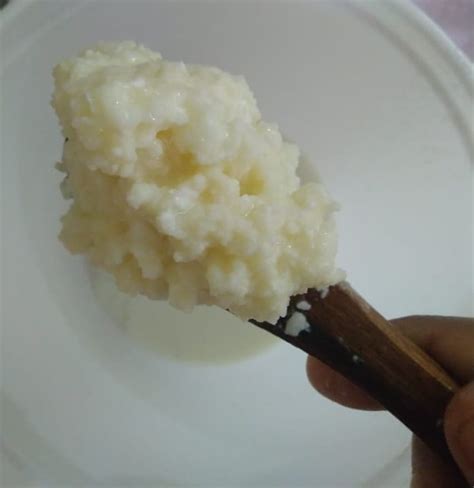 FRESH ORGANIC KEFIR GRAINS « JPS AYURVEDIC PHARMACY