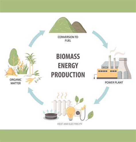 Bioenergy Process 的图像结果