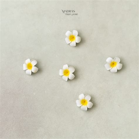 Bath or Spa Theme – Madras Prop Store