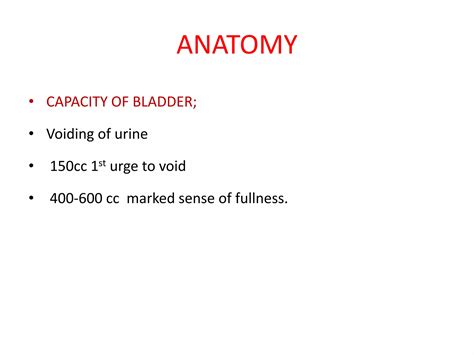 urinary bladder innervation and syndromes | PPTX