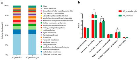Proteomics and Microbiota Conjoint Analysis in the Nasal Mucus ...
