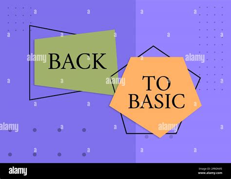 Image result for Basic Back