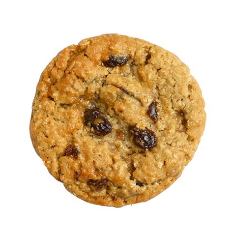 Oatmeal Raisin Cookie Gift Tin (18 Cookies) | The Christie Cookie Co.