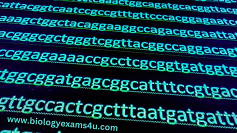Bioinformatics Basic 的图像结果