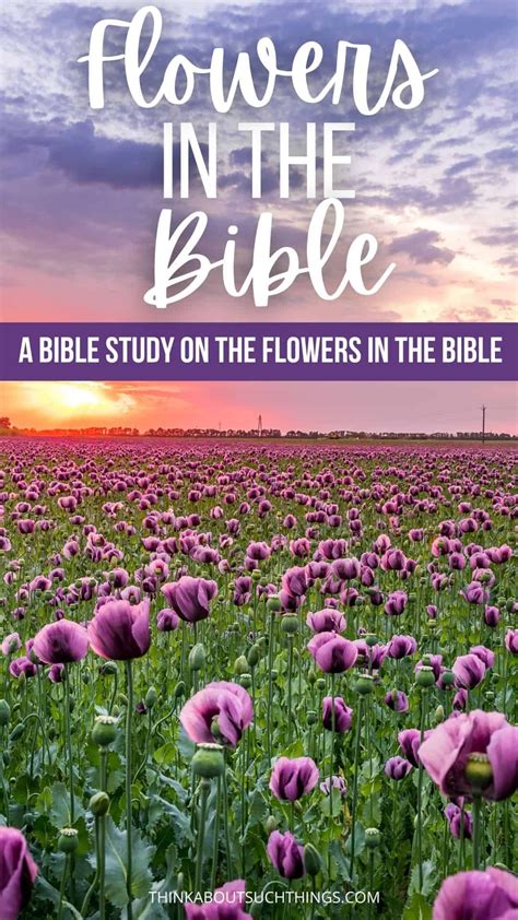 10 Bible Verses About Flowers and a Devotional | Gathered Again ...