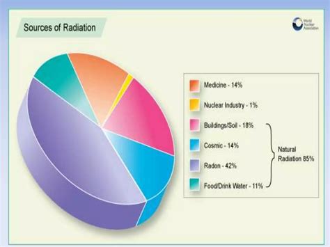 Image result for Basic Radiation Safety Principles