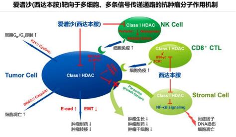 2020年全球最牛抗癌药TOP10