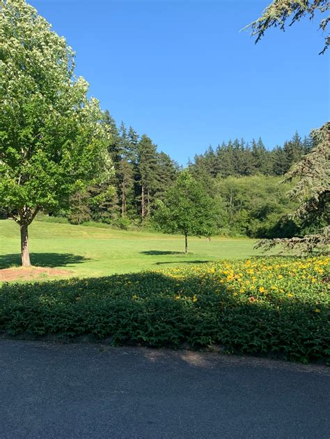 Bellingham Odyssey: 28 Epic Adventures to Savor the Essence of this ...