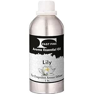 Fast Fine Diffuser Essential Aroma Oil Used for Air Electric ...