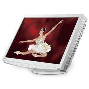 Eizo 24-Inch LCD-Monitor (S2411W-WS) : Amazon.in: Electronics