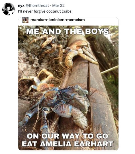 Coconut Crabs Ate Amelia Earhart at Madeleine Frayne blog