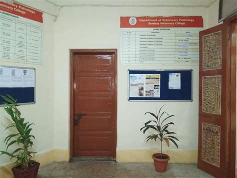 MVC - Pathology