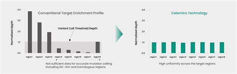 Probe Design 的图像结果