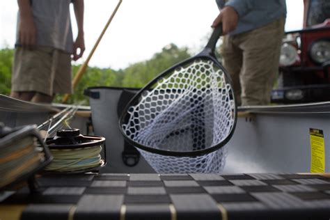 Learning the Grace of the Fly – Great Outdoor Provision Co.